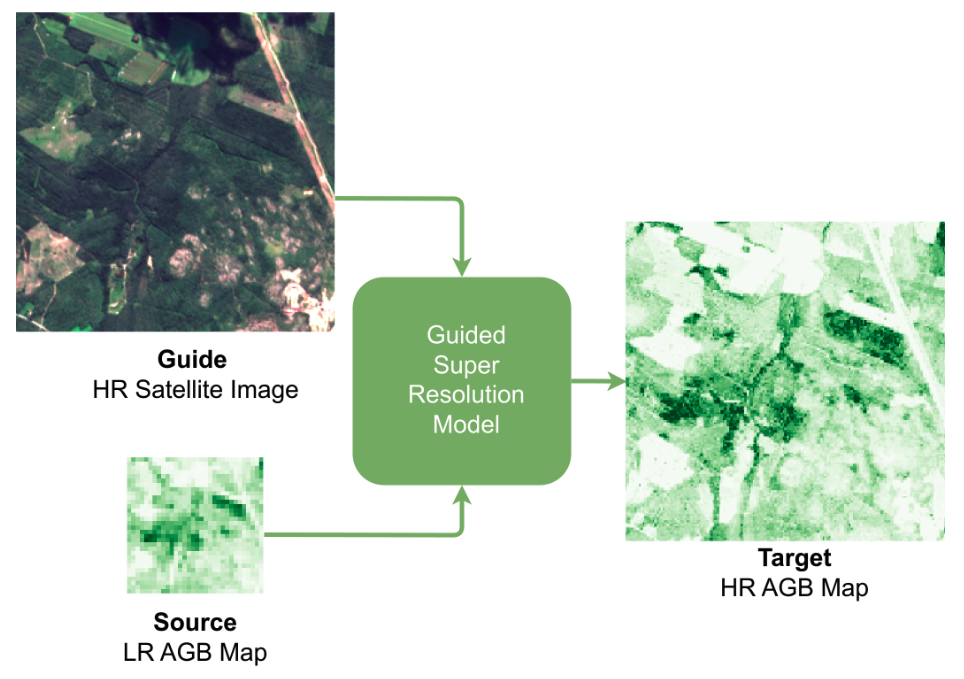 GSR4B: Biomass Map Super-Resolution with Sentinel-1/2 Guidance image