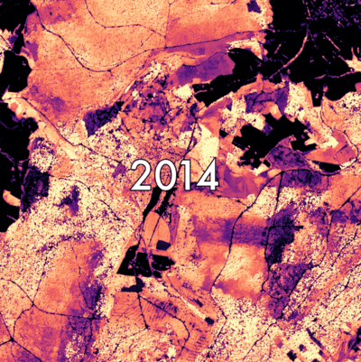 FORMSpoT: A Decade of Tree-Level, Country-Scale Forest Monitoring image